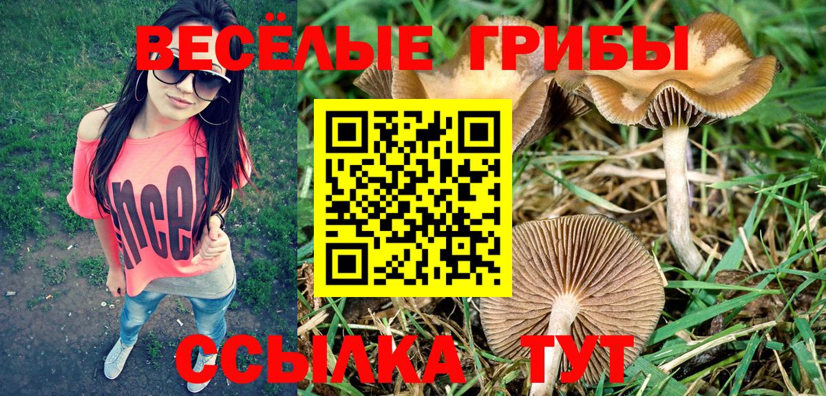 Псилоцибиновые грибы мухоморы  Вход с VPN  Псилоцибиновые грибы мицелий  Полевской 